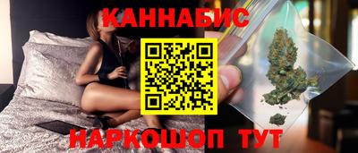 крисы Кунгур