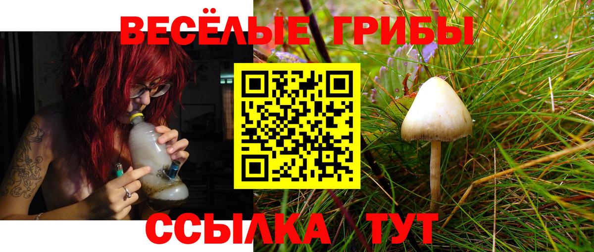 Волжский  Псилоцибиновые грибы Psilocybine cubensis  Вход с VPN 