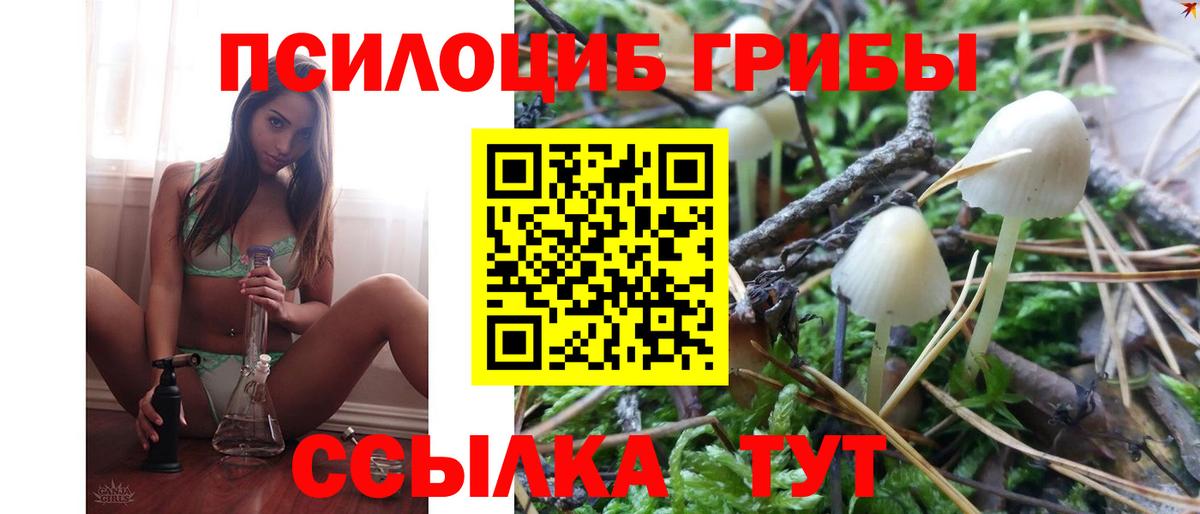 Псилоцибиновые грибы прущие грибы Волжский